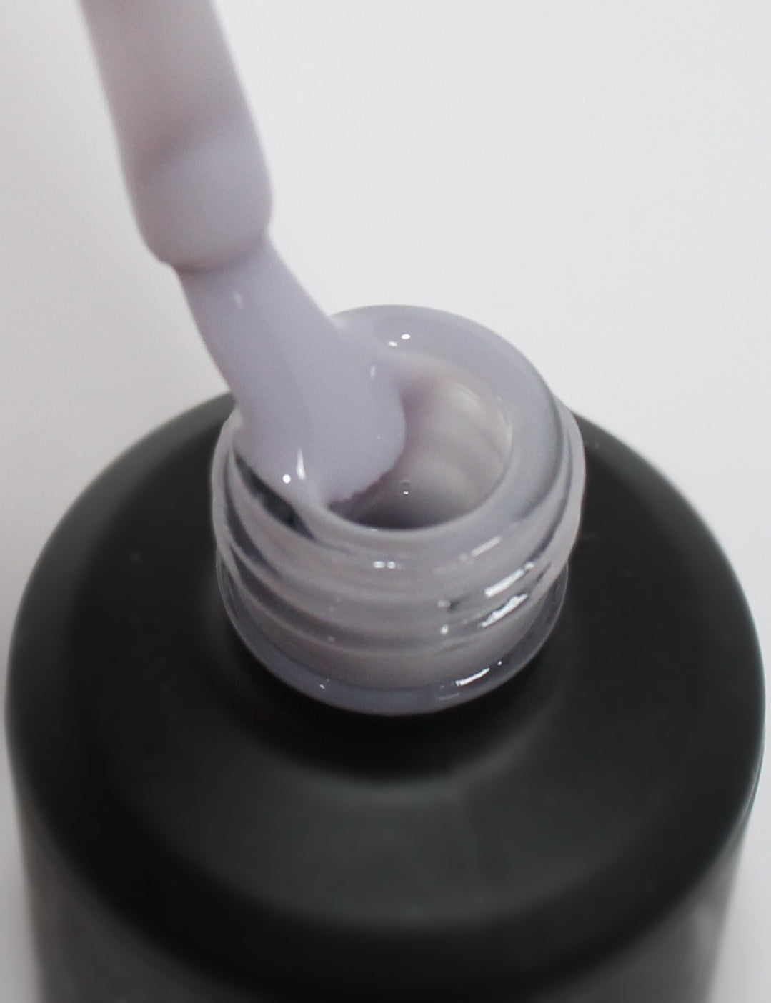 Enchanted Purple